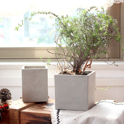 Cement Planter Small, Square Round or Rectangular — Atrium NH-378