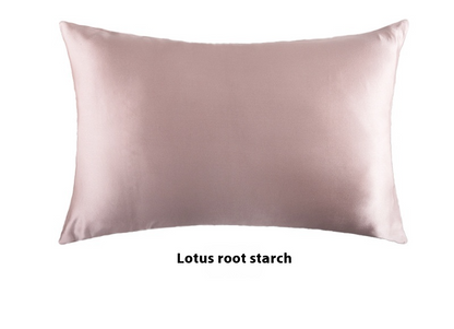 Platinum · NH BB-37 — 19-momme silk pillowcase