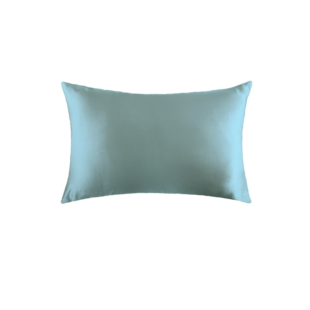 Platinum · NH BB-37 — 19-momme silk pillowcase