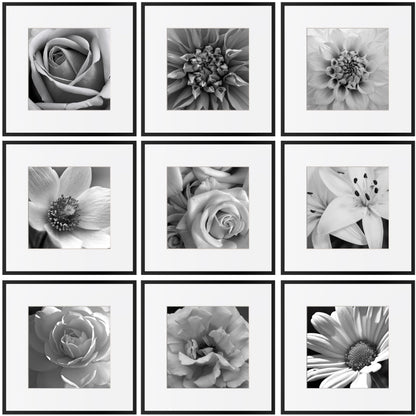 Aluminium Gallery Frames, Set of Nine 30cm — Atrium NH-1422