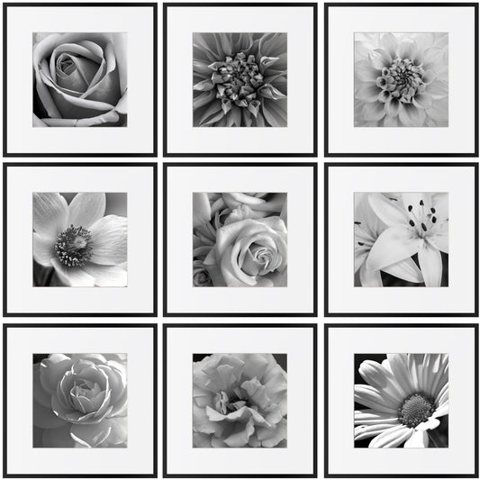 Aluminium Gallery Frames, Set of Nine 30cm — Atrium NH-1422