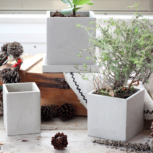 Cement Planter Small, Square Round or Rectangular — Atrium NH-378