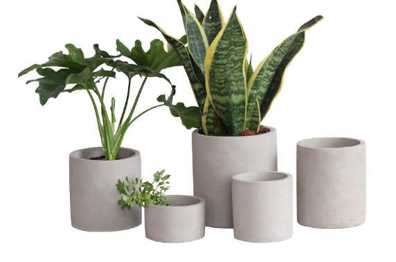 Cement Planter Small, Square Round or Rectangular — Atrium NH-378