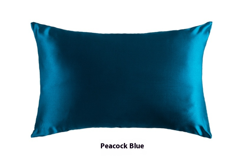 Platinum · NH BB-37 — 19-momme silk pillowcase