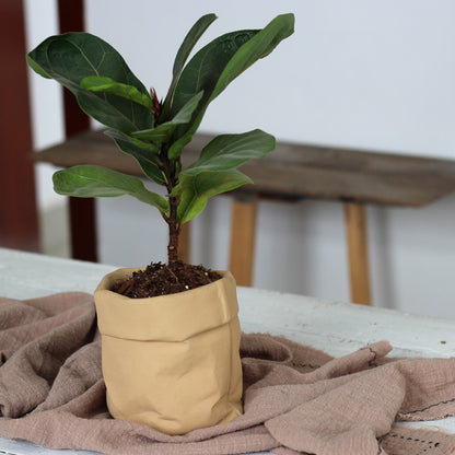 Cement Planter Fabric Bag Form, Khaki, Three Sizes — Atrium NH-379