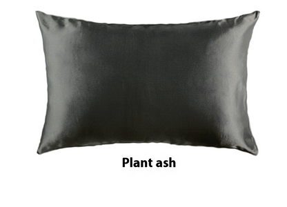Platinum · NH BB-37 — 19-momme silk pillowcase