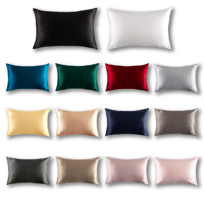 Platinum · NH BB-37 — 19-momme silk pillowcase