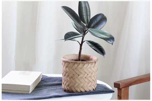 Cement Planter Woven Bamboo Look, 16cm — Atrium NH-380