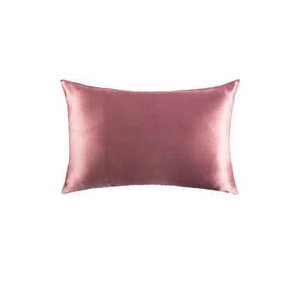 Platinum · NH BB-37 — 19-momme silk pillowcase