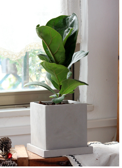 Cement Planter Small, Square Round or Rectangular — Atrium NH-378