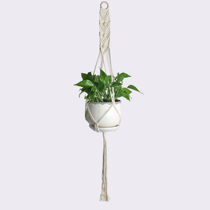 Macrame Plant Hanger, Handwoven Cotton Rope — Atrium NH-386