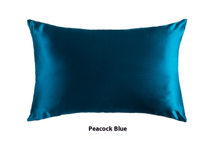 Platinum · NH BB-37 — 19-momme silk pillowcase