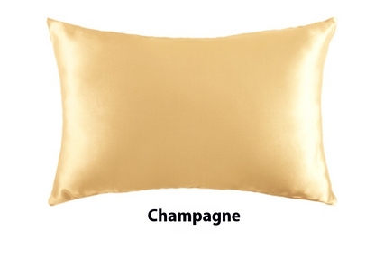 Platinum · NH BB-37 — 19-momme silk pillowcase