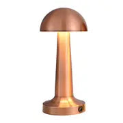 Cordless Table Lamp, Iron and Acrylic, Rechargeable — Meridian NH-721
