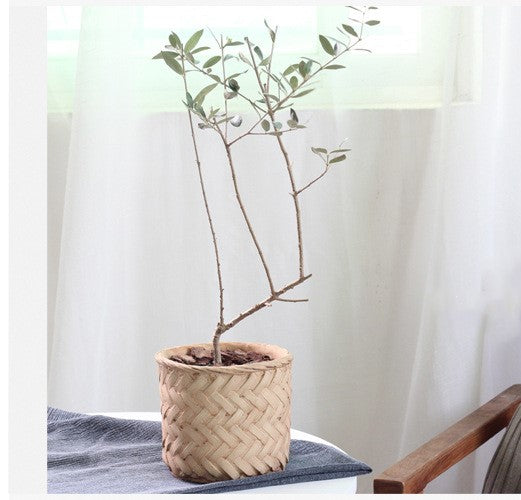 Cement Planter Woven Bamboo Look, 16cm — Atrium NH-380