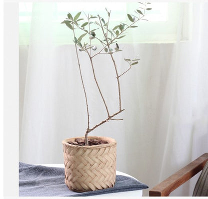 Cement Planter Woven Bamboo Look, 16cm — Atrium NH-380