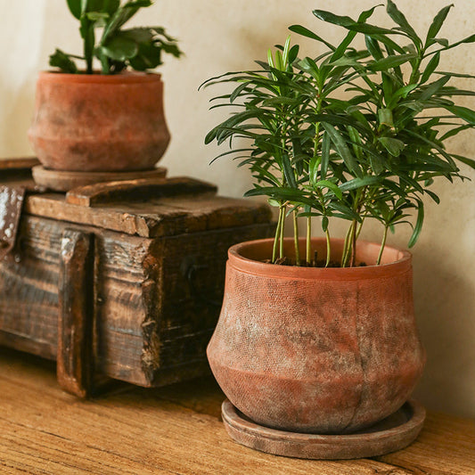Terracotta Plant Pot, Red Clay 16cm — Atrium NH-381