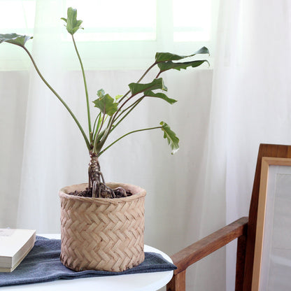 Cement Planter Woven Bamboo Look, 16cm — Atrium NH-380