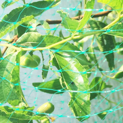 Strong Garden & Fruit-Tree Netting, Green Mesh — Terrace NH-1658