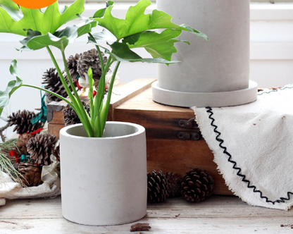 Cement Planter Small, Square Round or Rectangular — Atrium NH-378