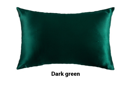 Platinum · NH BB-37 — 19-momme silk pillowcase