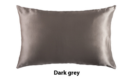 Platinum · NH BB-37 — 19-momme silk pillowcase