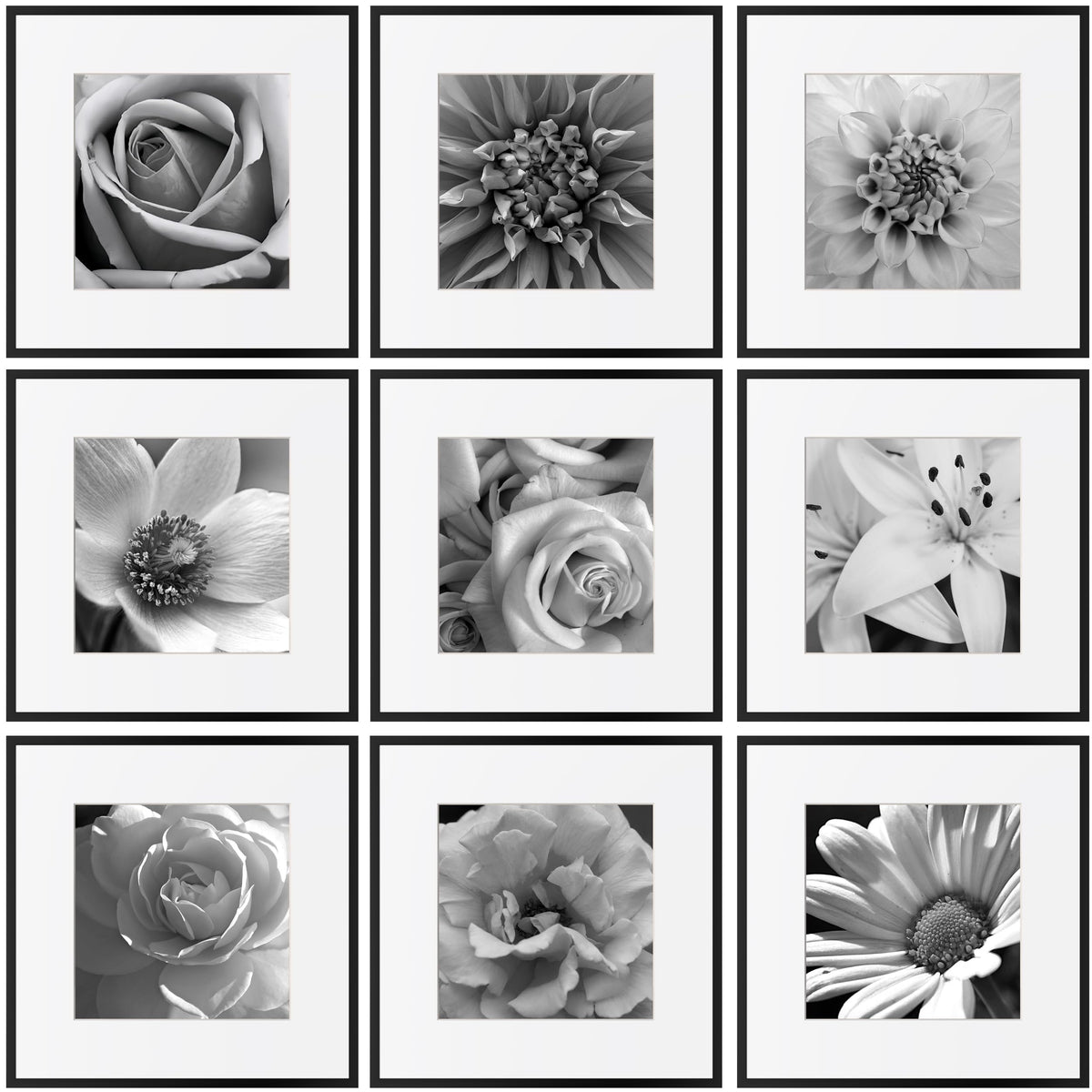 Aluminium Gallery Frames, Set of Nine 30cm — Atrium NH-1422
