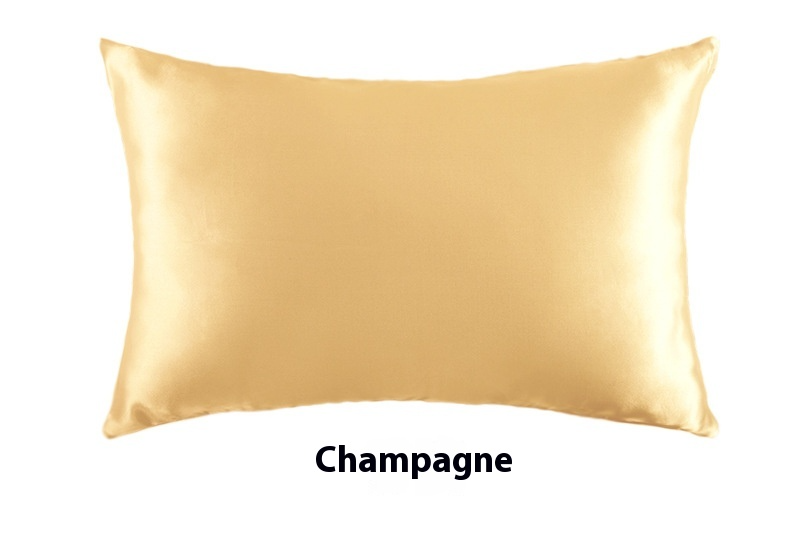 Platinum · NH BB-37 — 19-momme silk pillowcase