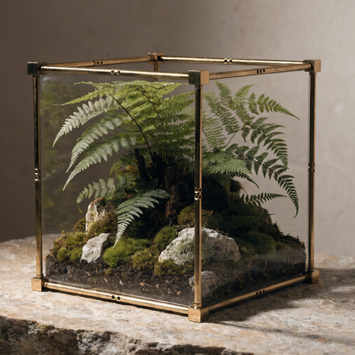 Brass-Framed Glass Terrarium Cube