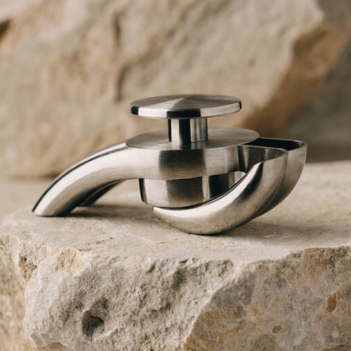 Stainless Garlic Press